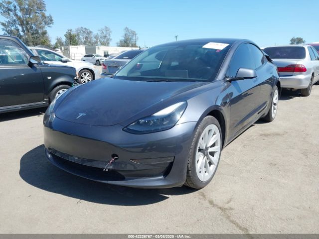 5YJ3E1EA7PF673322 Tesla 2023