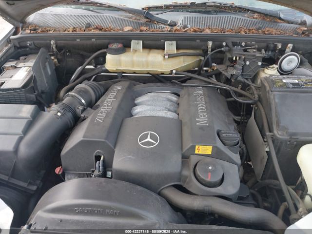 1999 MERCEDES-BENZ ML 320 4JGAB54E6XA105157 Photo 9