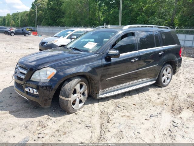 2010 MERCEDES-BENZ GL 450 4JGBF7BEXAA534736 Photo 1