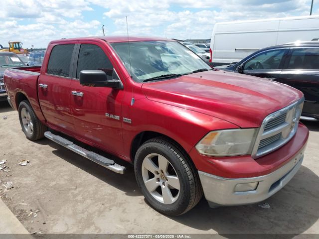 2009 DODGE RAM 1500 1D3HB13TX9S733173