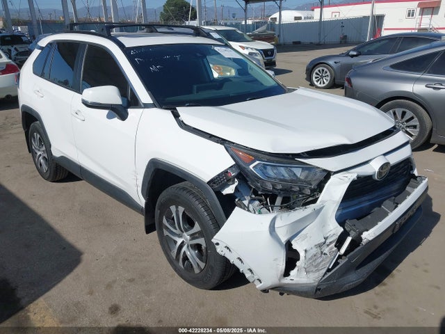 Toyota Rav4 Xle 2019 JTMW1RFV0KD041108 главное изображение