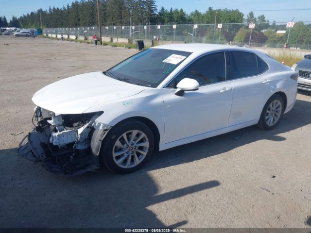 4T1C11AK8MU583038 Toyota CAMRY LE