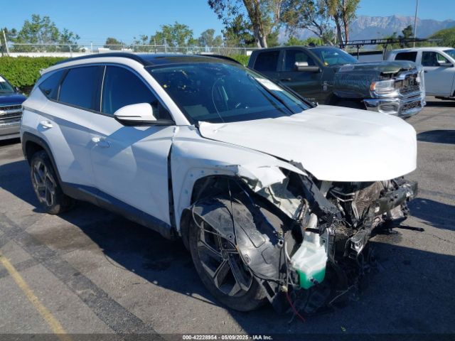 2022 HYUNDAI TUCSON HYBRID KM8JFCA17NU017305