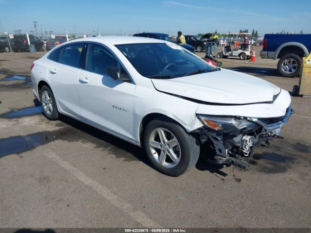 2019 CHEVROLET MALIBU 1G1ZC5ST4KF160927