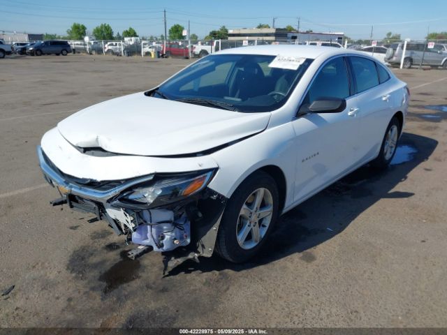 2019 CHEVROLET MALIBU 1G1ZC5ST4KF160927 Photo 1