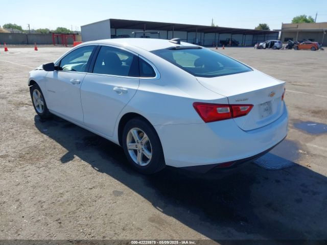 2019 CHEVROLET MALIBU 1G1ZC5ST4KF160927 Photo 2