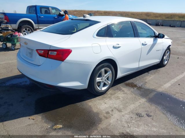 2019 CHEVROLET MALIBU 1G1ZC5ST4KF160927 Photo 3