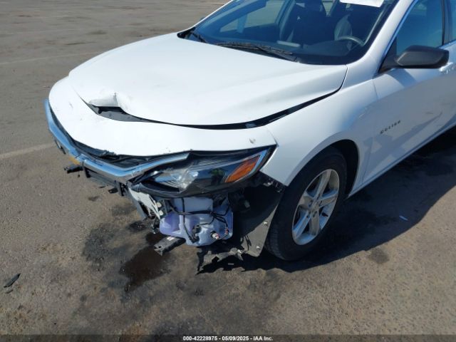 2019 CHEVROLET MALIBU 1G1ZC5ST4KF160927 Photo 5