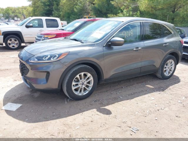 1FMCU0BZ8MUA09021 Ford Escape Se Hybrid