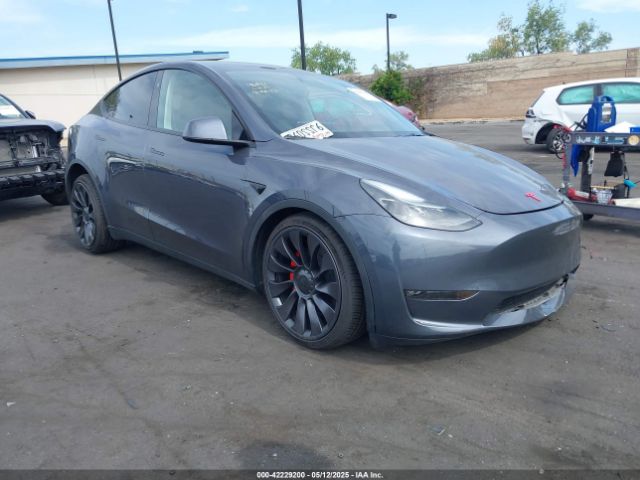 2023 TESLA MODEL Y 7SAYGDEFXPF897975