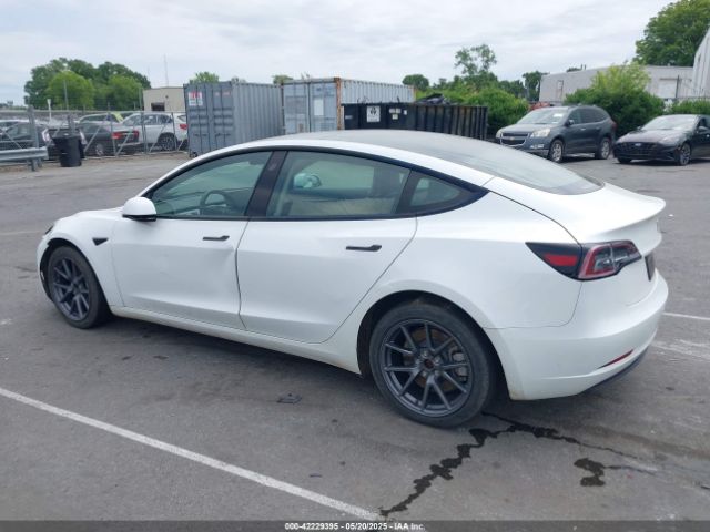 5YJ3E1EA3PF556644 Tesla Model 3 Rear-wheel Drive