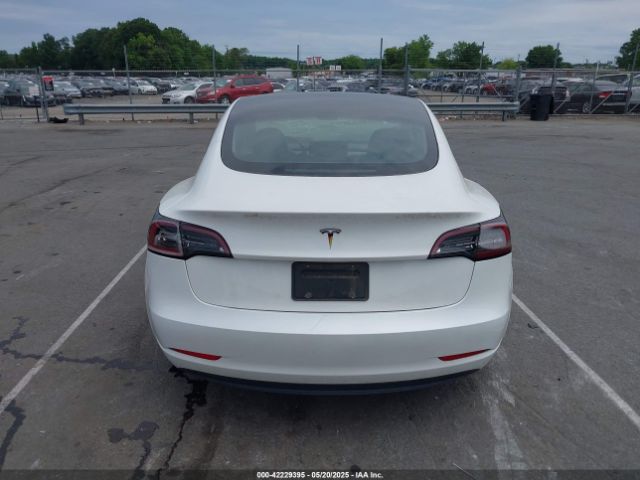 5YJ3E1EA3PF556644 Tesla Model 3 Rear-wheel Drive