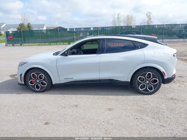 Ford Mustang Mach-E 2023 3FMTK4SE7PMB03832 Image 14