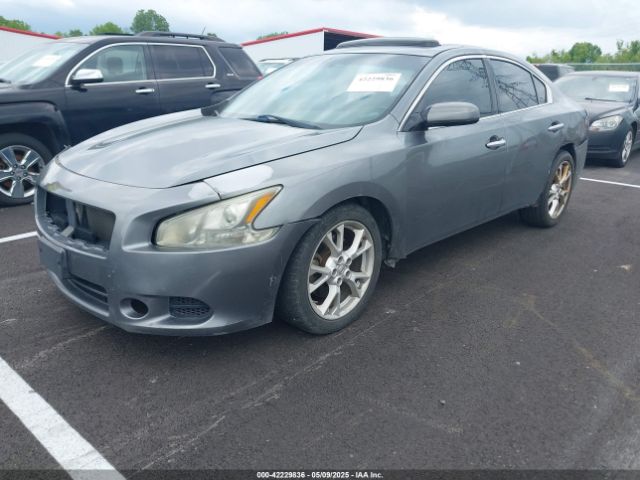 1N4AA5AP2EC480029 Nissan Maxima 3.5 S/3.5 Sv