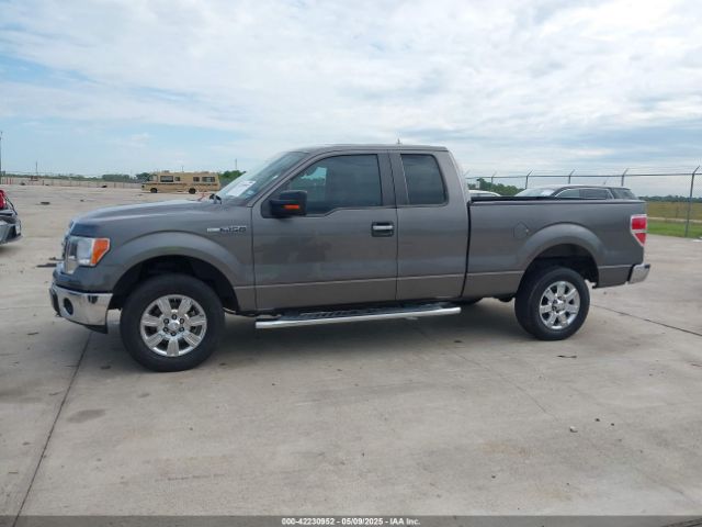 1FTFX1EF3EFB46342 Ford F-150 Xlt