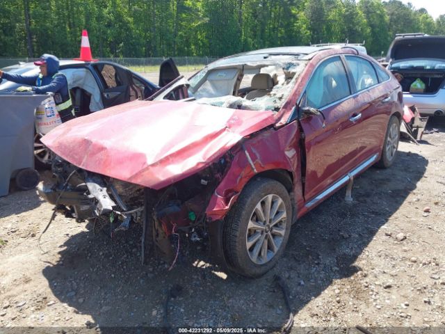 5NPE34AF2GH423019 Hyundai Sonata Limited