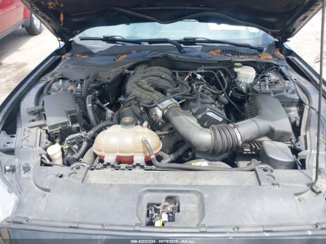1FA6P8AM8G5251387 Ford Mustang V6