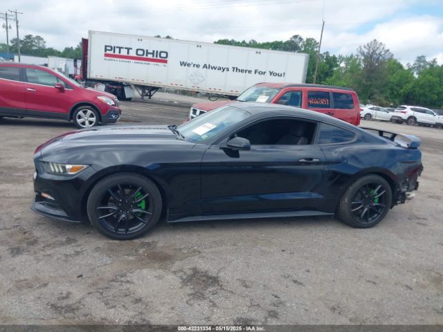 1FA6P8AM8G5251387 Ford Mustang V6