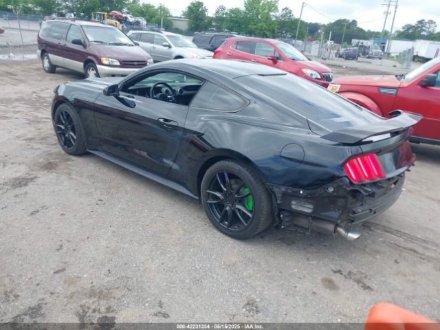 1FA6P8AM8G5251387 Ford Mustang V6