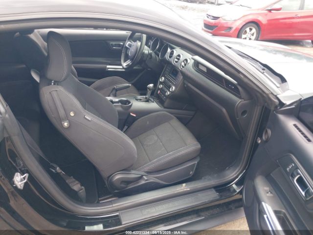1FA6P8AM8G5251387 Ford Mustang V6