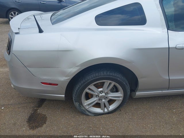 1ZVBP8AMXE5297192 Ford Mustang V6