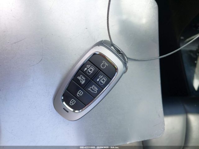 KM8R7DGE5PU499257 Hyundai Palisade Calligraphy