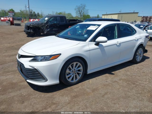 4T1C11AK7RU221239 Toyota CAMRY LE