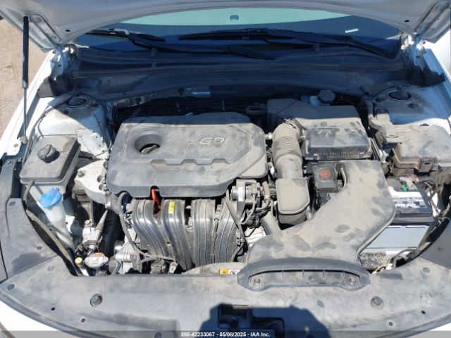 5XXGU4L33GG081455 KIA OPTIMA EX
