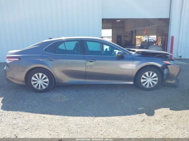 4T1C31AK4LU523380 Toyota Camry Le Hybrid