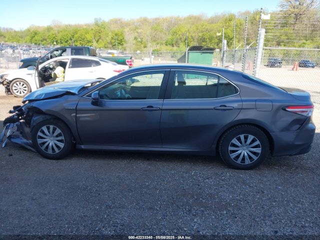 4T1C31AK4LU523380 Toyota Camry Le Hybrid