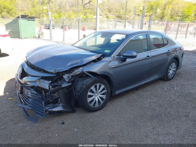 4T1C31AK4LU523380 Toyota Camry Le Hybrid