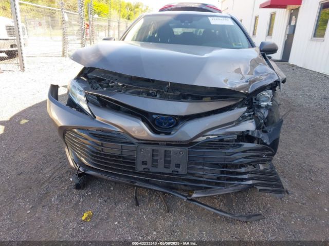 4T1C31AK4LU523380 Toyota Camry Le Hybrid