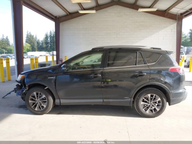 JTMRJREV5HD113699 Toyota Rav4 Hybrid Xle
