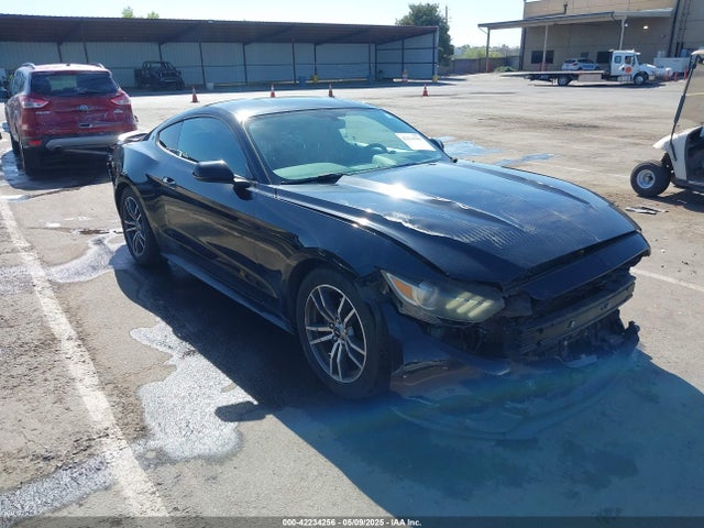 2015 1FA6P8TH4F5377048 main image