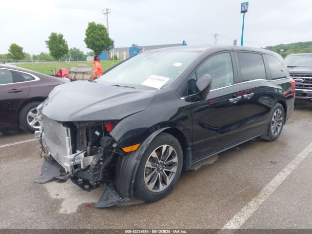 2023 HONDA ODYSSEY 5FNRL6H60PB041573 Photo 1