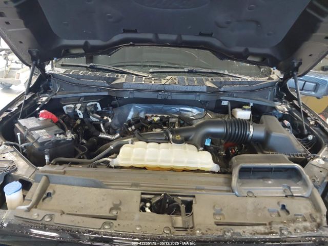 2024 FORD F-150 1FTEW3KP4RFB00757 Photo 9