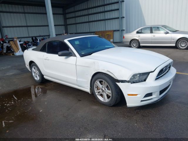 1ZVBP8EM2E5208550 auction archive image