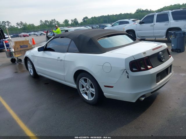 1ZVBP8EM2E5208550 Ford Mustang V6