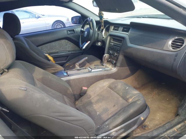 1ZVBP8EM2E5208550 Ford Mustang V6
