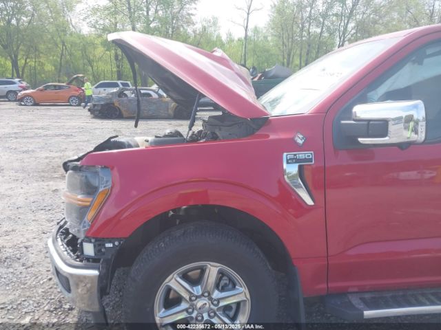 1FTFW3L80RKD08038 Ford F-150 Xlt