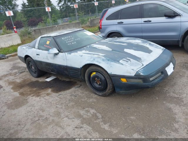 1991 CHEVROLET CORVETTE 1G1YY2385M5108835