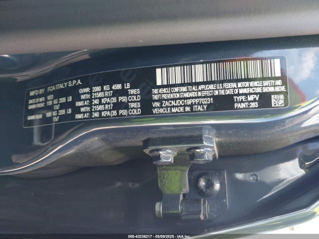ZACNJDC19PPP70231 Jeep Renegade Trailhawk 4x4