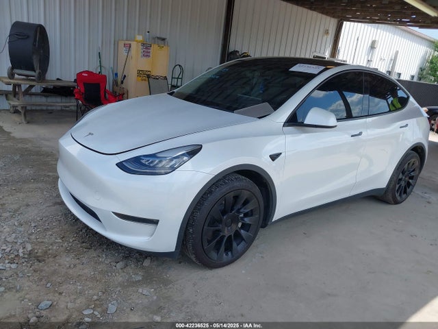 2023 TESLA MODEL Y 7SAYGDEE9PA155071 Photo 1