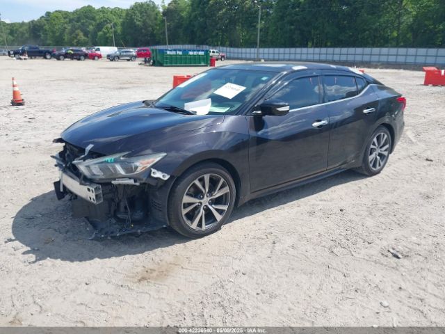 1N4AA6AP0HC371840 Nissan Maxima 3.5 Platinum