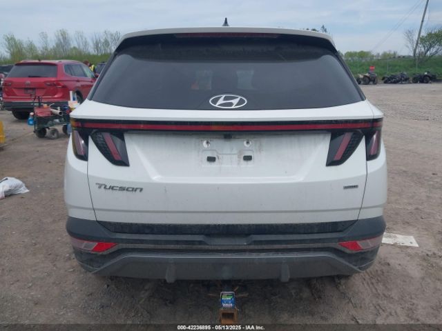 5NMJECAE2NH103526 Hyundai Tucson Limited