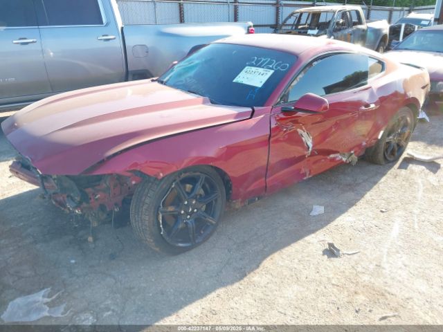 2017 FORD MUSTANG 1FA6P8AM2H5277260 Photo 1