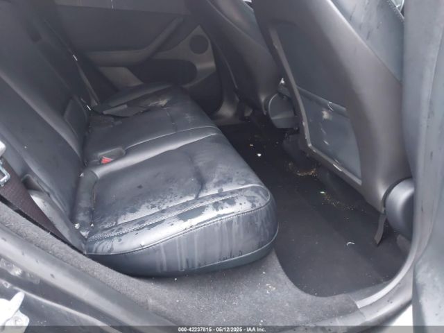 2024 TESLA MODEL Y 7SAYGDED5RF046877 Photo 7