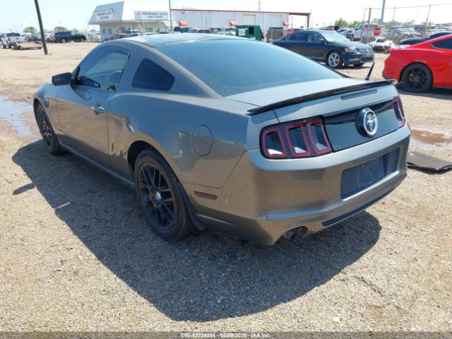 2014 FORD MUSTANG 1ZVBP8AM7E5274601 Photo 2