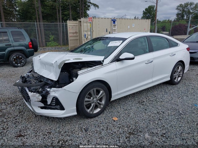 5NPE34AF7JH634904 Hyundai SONATA SEL