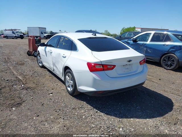 Chevrolet Malibu 1ls 2019 1G1ZB5ST1KF175159 Image 3